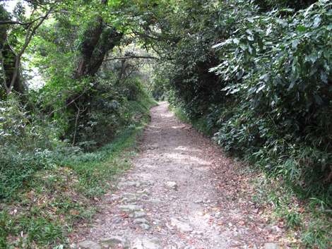 20150924hike (87)